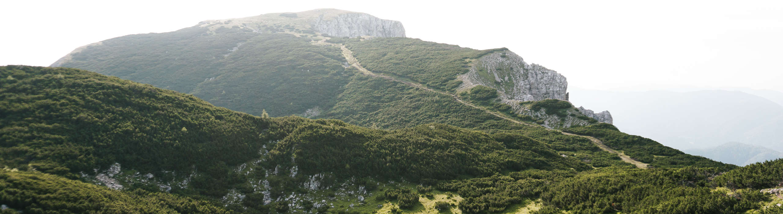 Mesec krajinske arhitekture 2013